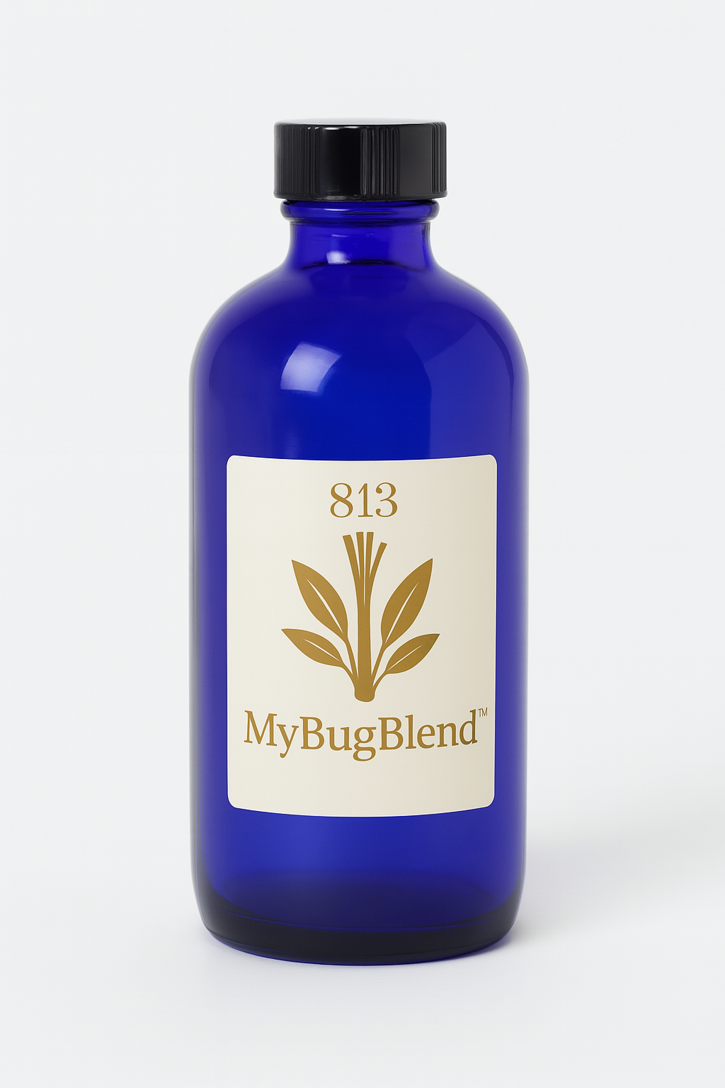 813 Shield Spring/Summer Pre-Order Bundle